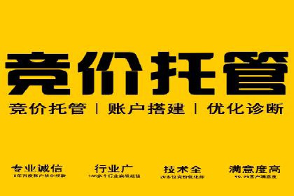 某电商平台的SEM代运营策略及效果评估